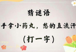 打一个字的谜语大全,趣味盎然的一字谜语解析