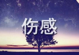 非主流伤感语录,情感世界的独白与共鸣