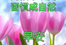 2020年早安祝福图片,唤醒美好一天的开始